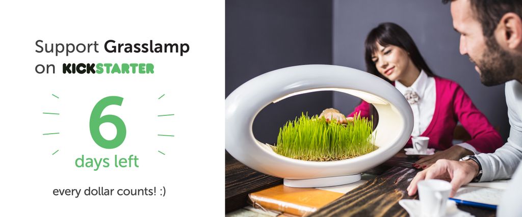 grasslamp's tweet photo. 6 more days. #Grasslamp#Kickstarter https://t.co/bBzR3Htgyr
