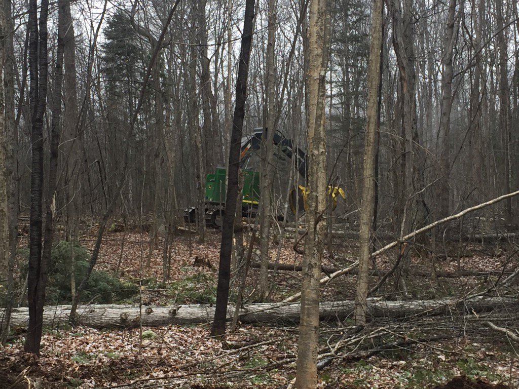 Feels more like fall than mid December.