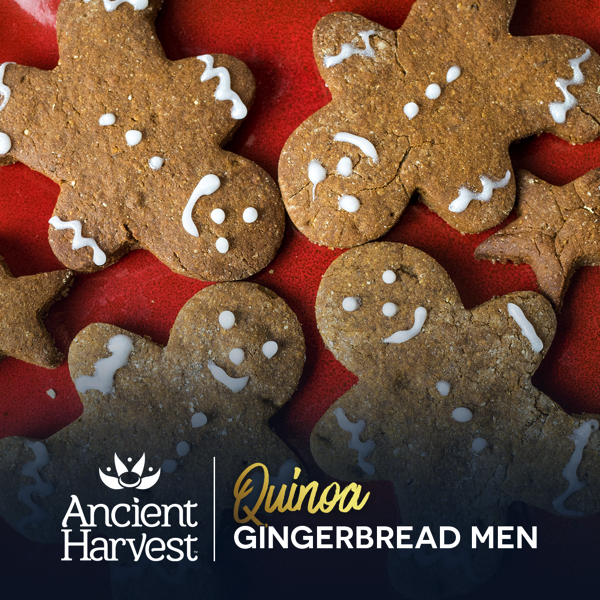 Recipe: Gluten-Free Vegan Quinoa Gingerbread Men celiac-disease.com/recipe-gluten-…