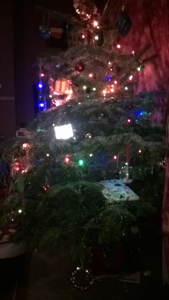 Catherine (@doghouse24sw) on Twitter photo 