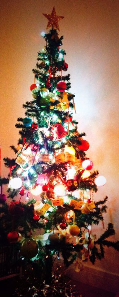 racheyra's tweet photo. @TranslineGroup yes I will #tweetmytree - here it is. Star shining brightly too! https://t.co/BFBI6EvIaP