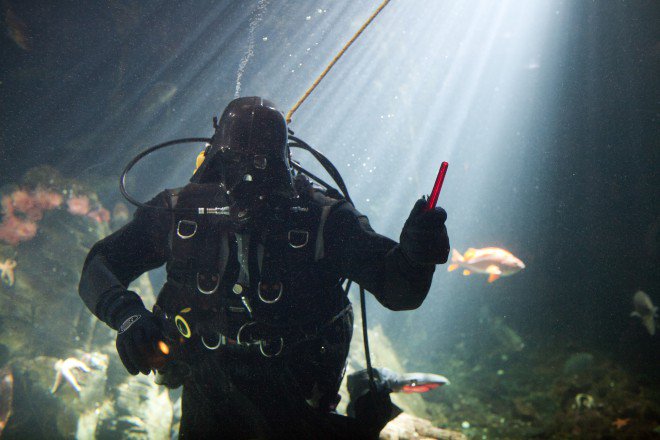 LiveaboardsIndo's tweet image. Tomorrow Star Wars is playing in the cinema, and yes we are excited! liveaboards-indonesia.com