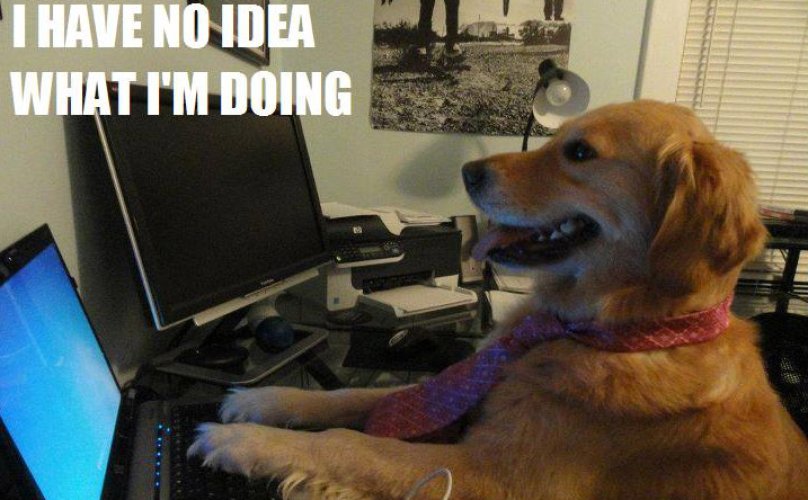 Adopt A Spot tweet media