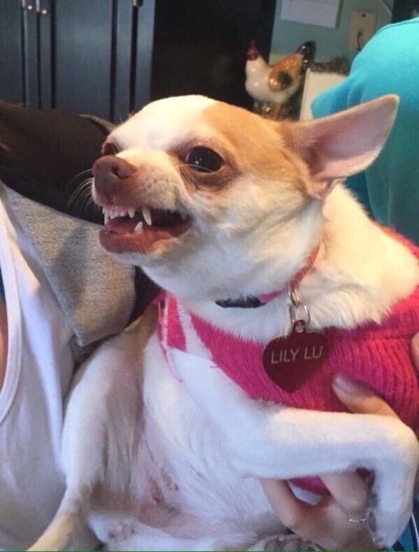 briedsm_'s tweet image. waiting for #getitgetitgetit vs not