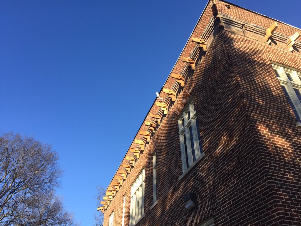 Demolition days 2-3 @ UA little hall.  Can't wait for the install start!!