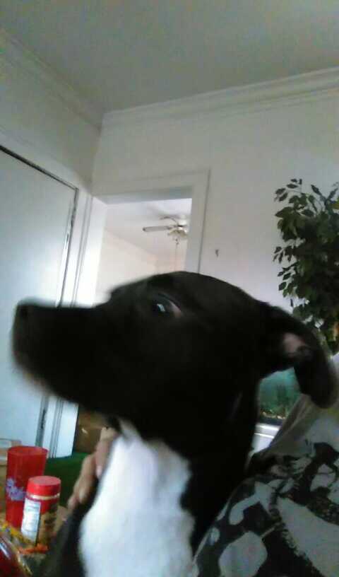 CaponeSpice's tweet image. 