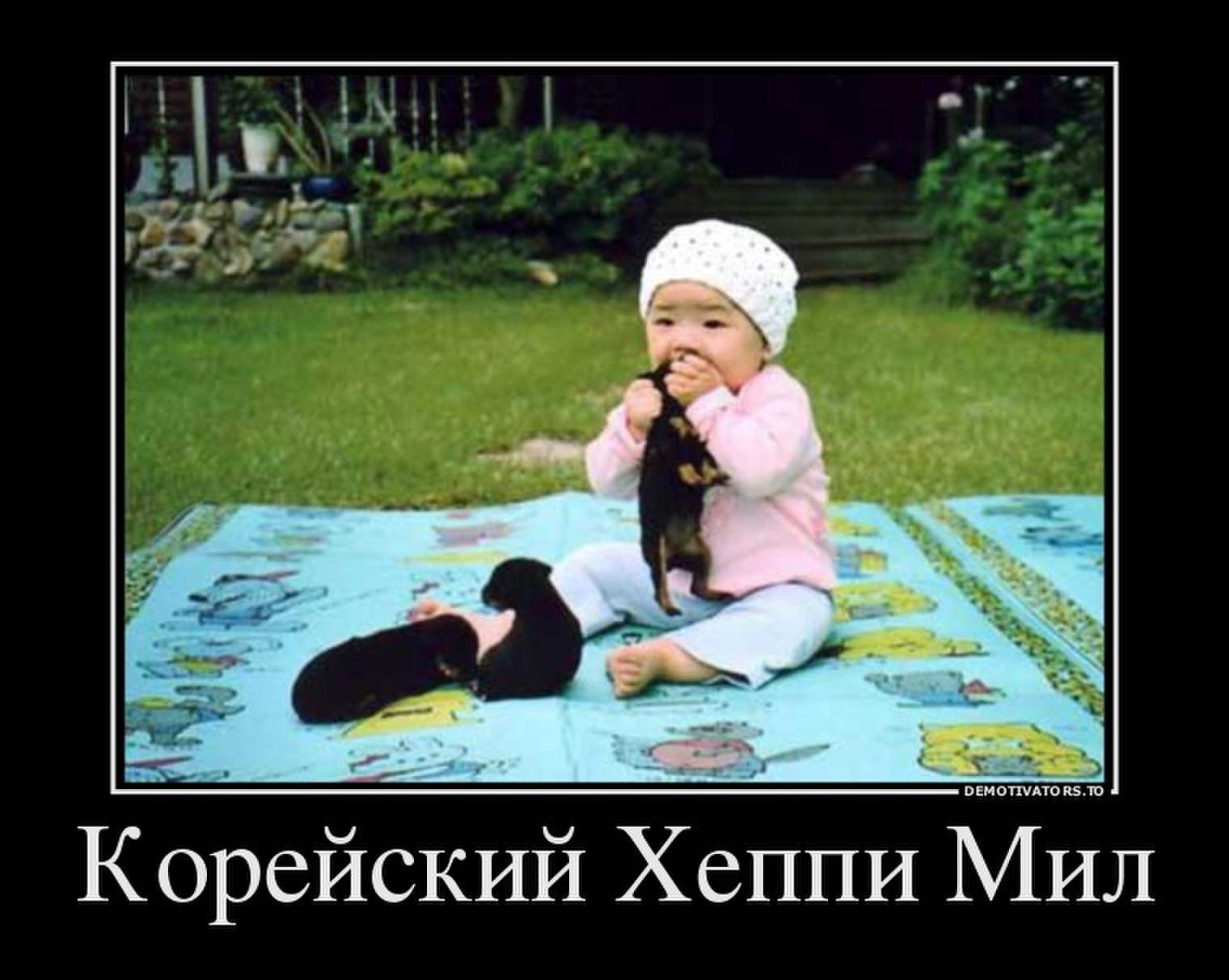 Шутки про корейцев