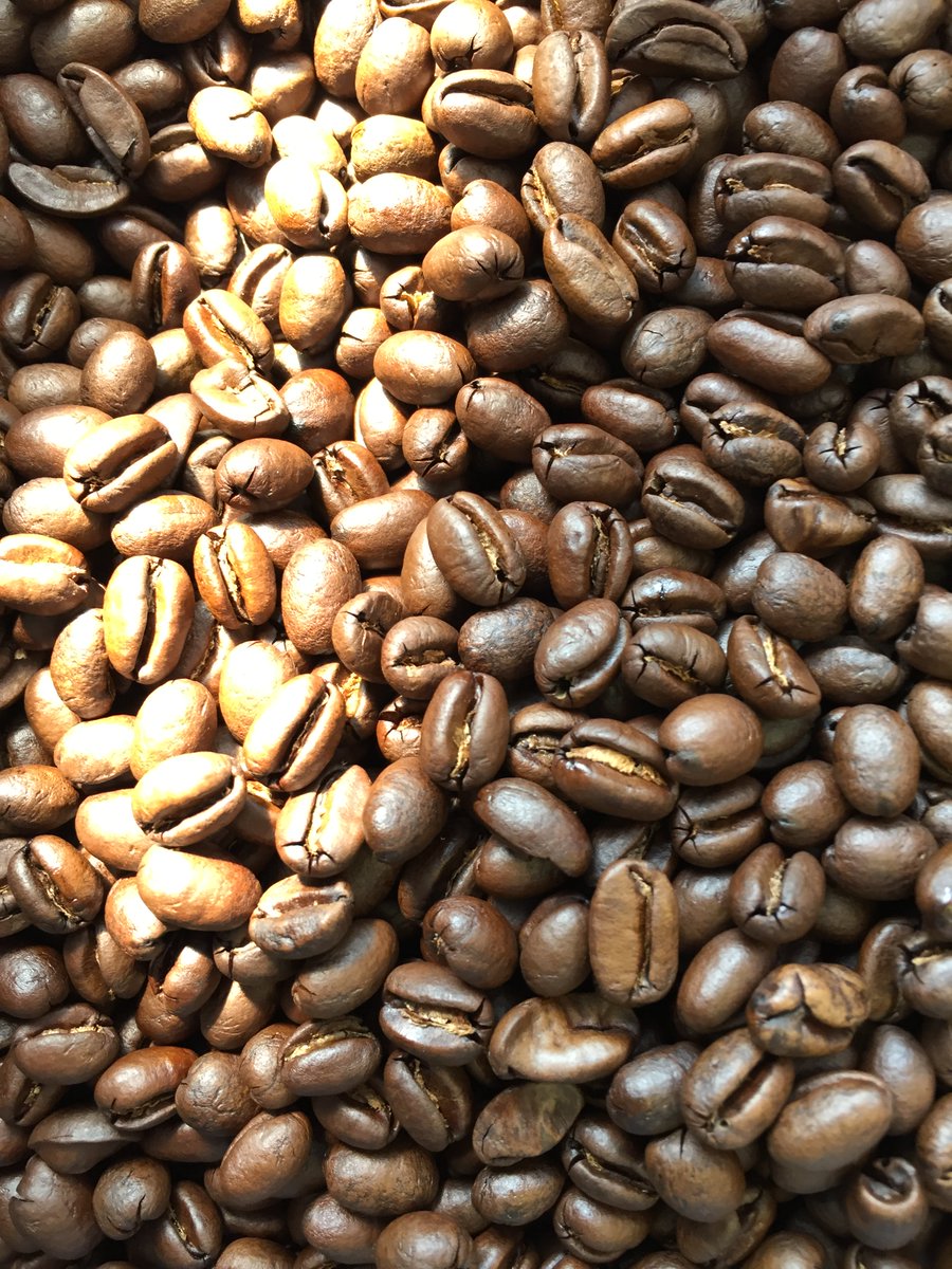 KonaPremCoffee's tweet photo. Aloha @CoffeeGeek! Do you like Kona coffee? https://t.co/RPGwoYE7Y6
