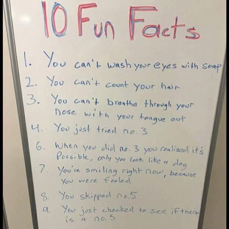 DamnKeez's tweet image. Lol Read It 😂😂😂