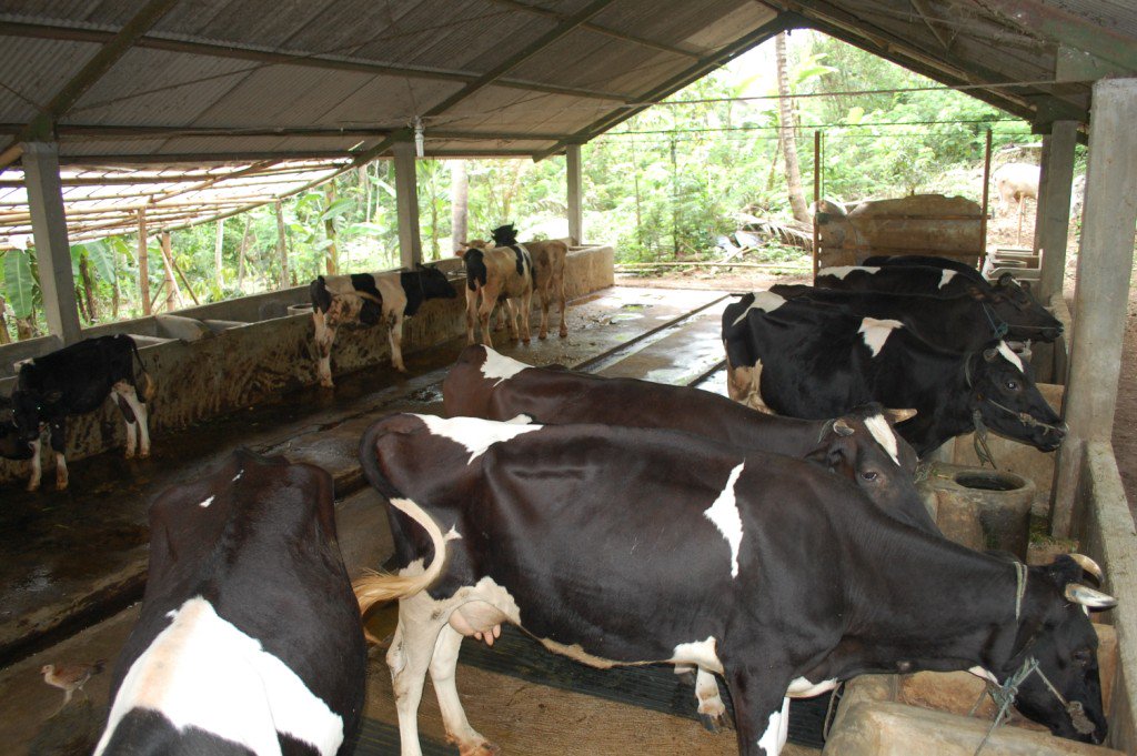 Pengabdian Masyarakat di Lereng Merapi, Wujud Bakti UNAIR dan Alumni warta.unair.ac.id/pengabdian-mas…