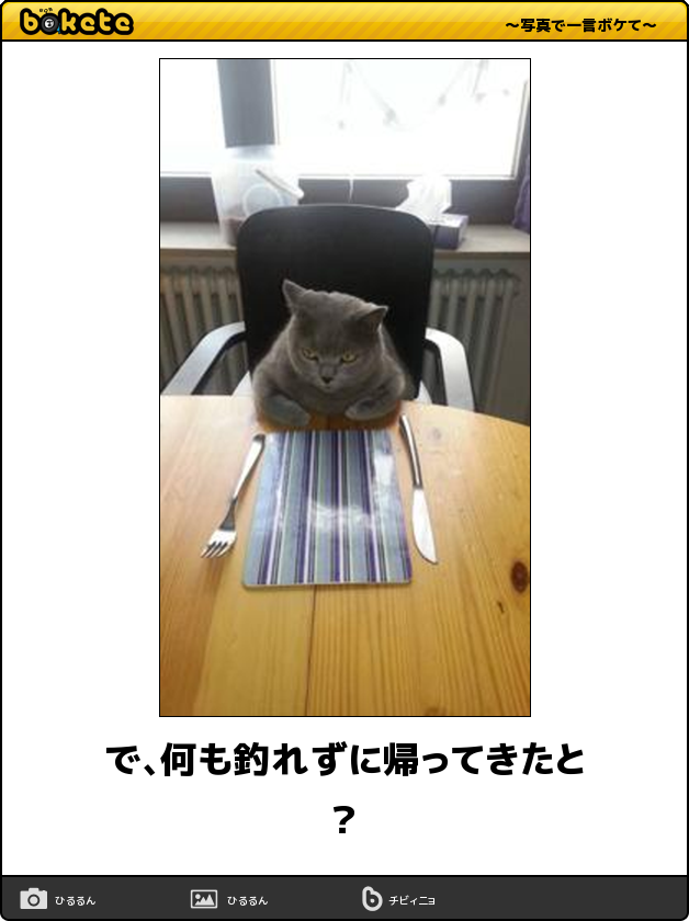 空の食卓を前にして猫が一言 今日の ボケて 12月18日 Togetter