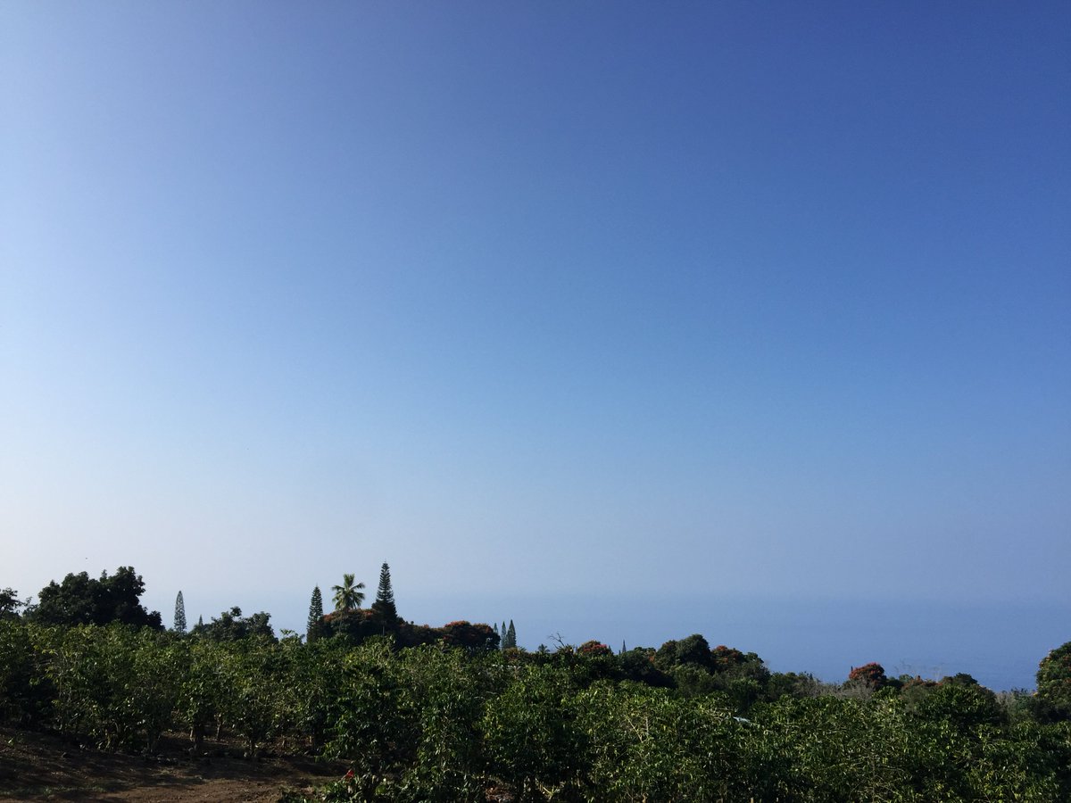 KonaPremCoffee's tweet photo. We got a nice view of the ocean from our farm. https://t.co/tGrPl5SUy3