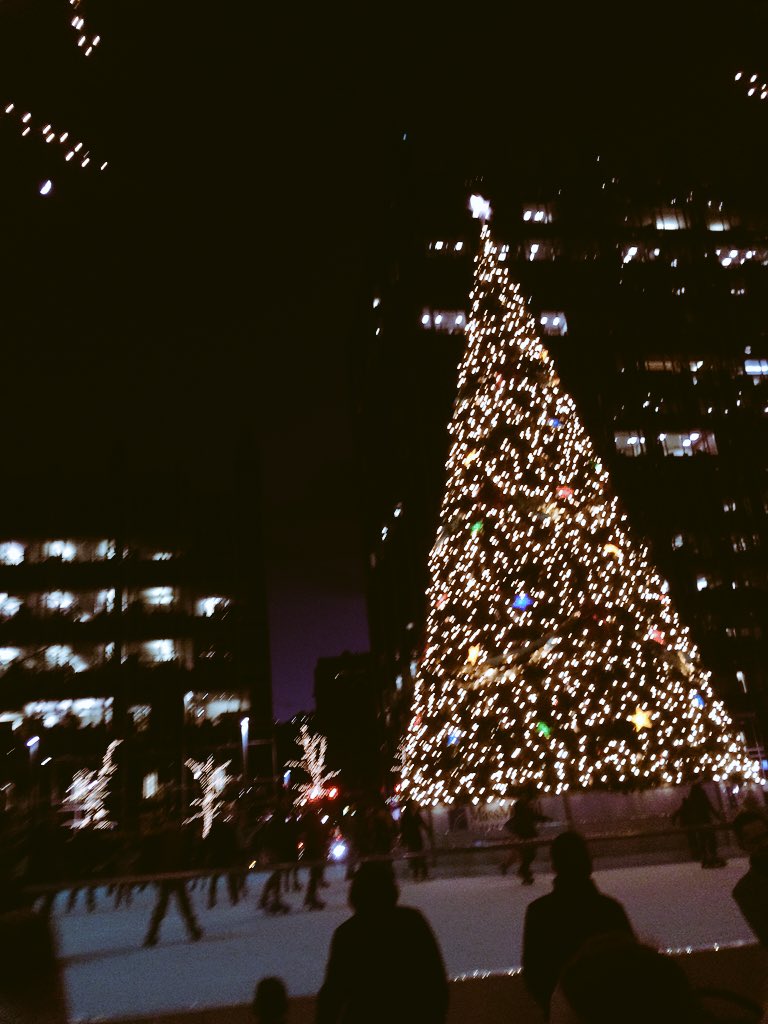 sidewaysgrande's tweet photo. tall christmas trees make me so happy:) https://t.co/qSusLdJaFY