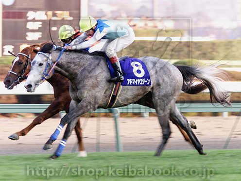アドマイヤコジーン　朝日杯　馬券 アドマイヤコジーン 朝日杯 馬券
