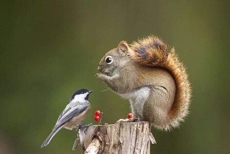 vinodch8560's tweet photo. @monicasloves @RosaTrunk @AnthonyJBarton @leonalombaerts @ptgelci @JamieRincom @WindsBride14 @Jilliemary thnks swtM😘 https://t.co/z3TWuCKdAn