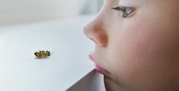 EcoNotes1's tweet photo. Pesticide alternatives kill bees too. #organic #pollinators #agriculture @GreenNewsDaily https://t.co/0zwvFqi55e https://t.co/n0Ic8M8ZCq
