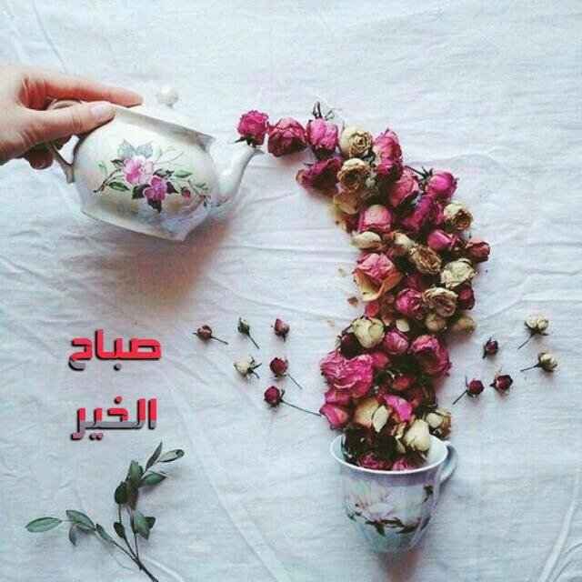 RHT8CqR5IHPYAGA's tweet photo. قُم صافحِ الصبحَ فالأحزانُ ترتحلُ 
قد أدبر الهمّ مهزوماً لدى الغسقِ

وارفـع بصوتـك ذكــر الله مبتسمـاً
صباح_الخير https://t.co/bbOS5vZE86