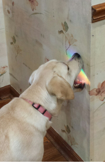 GirlsOnBored's tweet photo. Trying to find Winter break like #finalsweek https://t.co/2FwzxlSTLm