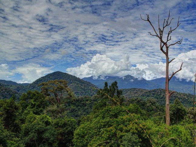 xcaperesort's tweet photo. Let’s conquer the highest peak in Peninsular Malaysia, Gunung Tahan (2,187m). https://t.co/3o8EtaQ4Gt