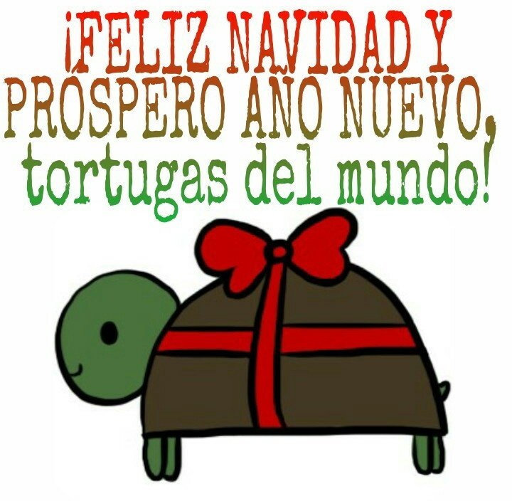 ¡Felices fiestas, tortugas!... 🎉🎄🐢🎁✨