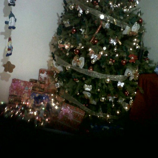 XxxAmbar's tweet photo. Todo listo para recibir la navidad en casa de mis parientes más cercanos!! Besos y abrazos a todos mis seguidores!! https://t.co/ApCjplYfHh