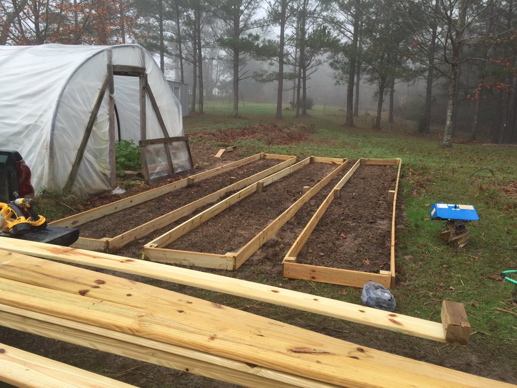 amorphousgarden's tweet photo. More raised beds equal more cut flowers! #xmaseveinthegardens https://t.co/tnBvsPYvb8