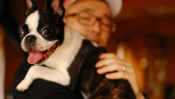LaMega's tweet photo. [Video] El baile de este tierno perro 'funky' enloquece las redes sociales https://t.co/sHOs3RDW9z https://t.co/ONgrdKOcir