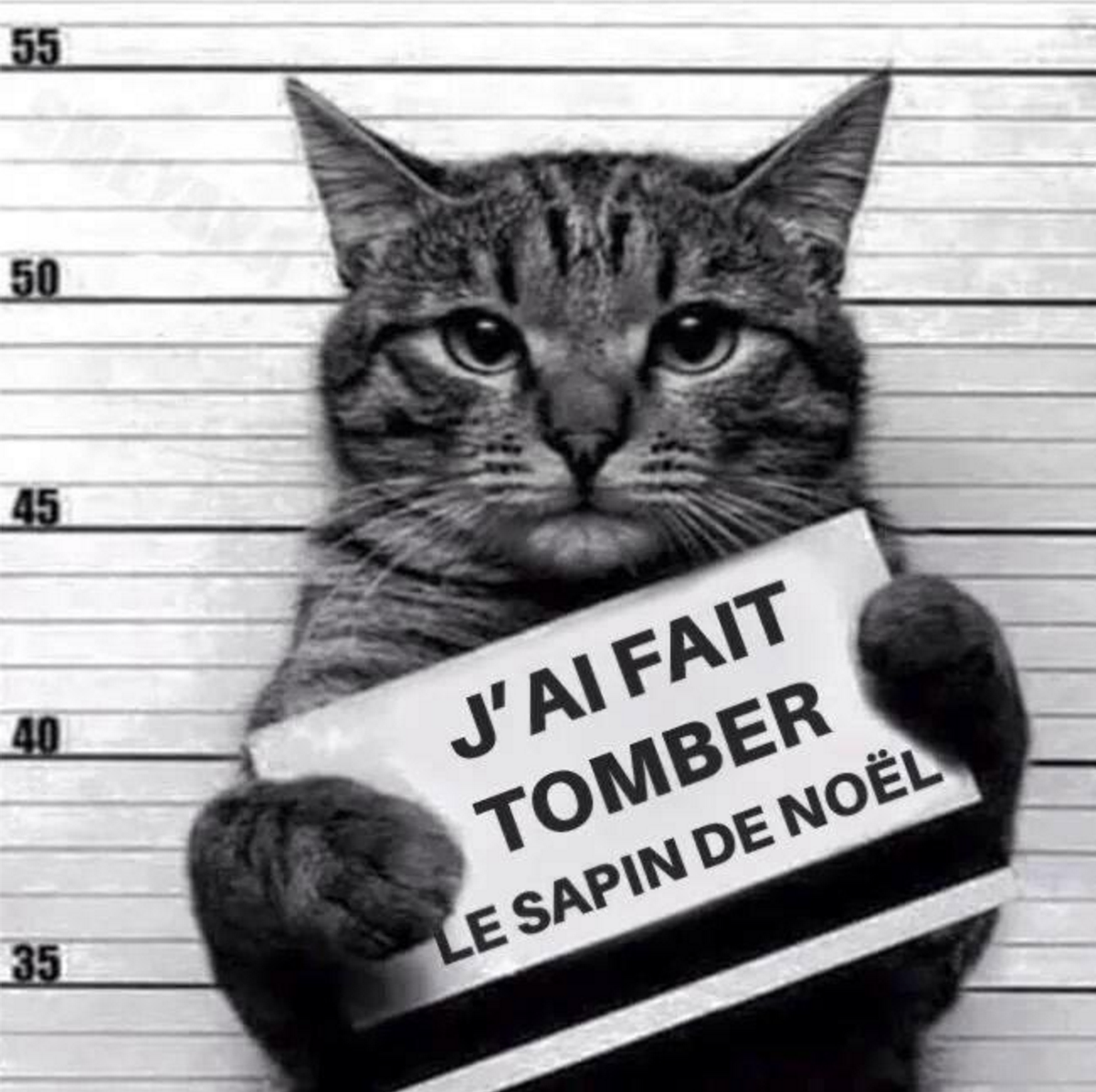 CCohadier tweet picture