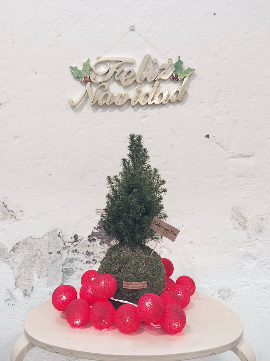 A partir d'avui a les 14h el nostre arbre de Nadal by <a href="/KokedamaSoul/">Kokedama Soul</a> es queda sol fins dilluns. #BonNadal