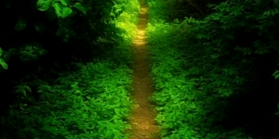 In all your ways submit to him,
and he will make your paths straight. (Prov 3:5-6 NIV)