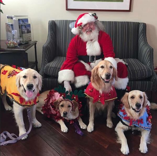 mansbestbud's tweet photo. We have replaced the reindeers! https://t.co/nAbSefT7JC