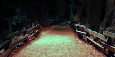 Your word is a lamp for my feet,
a light on my path. (Ps 119:105 NIV)