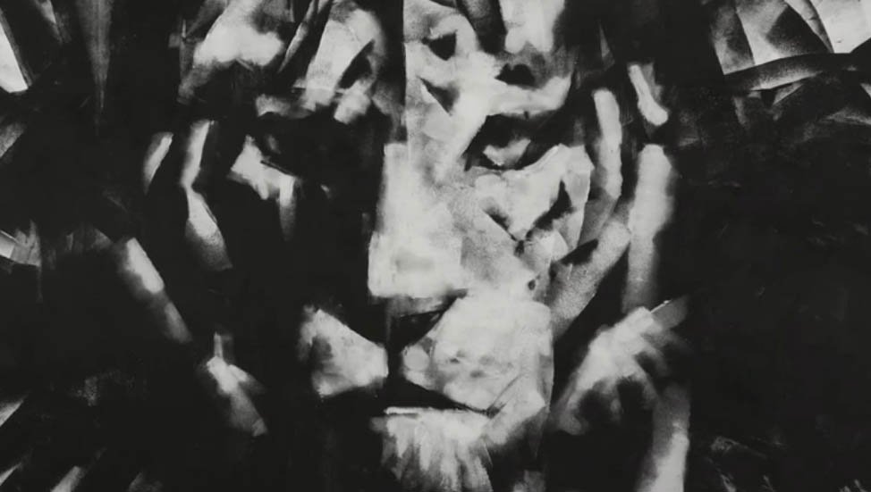 Il bellissimo video dei C'mon Tigre, firmato da Danijel Žeželj rockit.it/news/cmon-tigr…