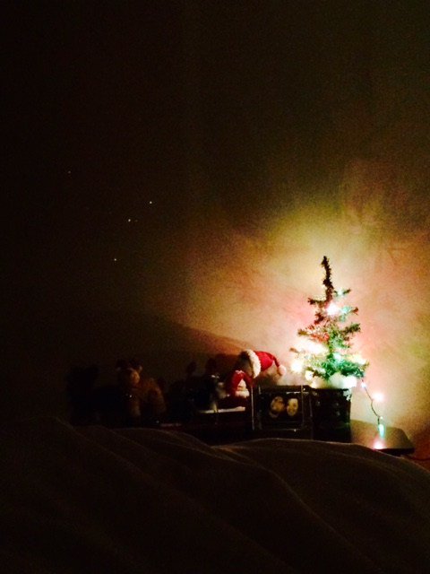 Misty-Blu Ropp tweet media