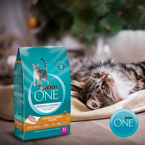 PurinaOneSA's tweet photo. While you enjoy your turkey over this festive season, make sure your cat enjoys  our Chicken and Turkey flavour. https://t.co/m1img7yXdx