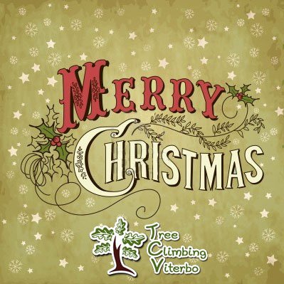 TreeClimbingVT's tweet image. Treeclimbing viterbo vi augura un buon natale e un felice anno nuovo!!!