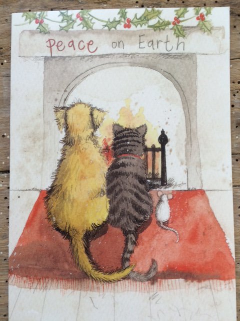 Wishing you all a Merry Christmas and a Happy New Year, I just love this card we were given #peaceonearth