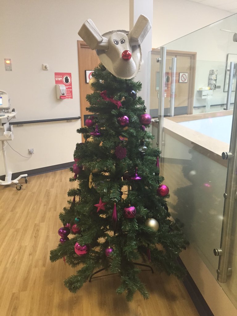 Bed pan urinal tree topper <a href="/MKHospital/">Milton Keynes University Hospital NHS FT</a> on ACU. #nhschristmasspirit