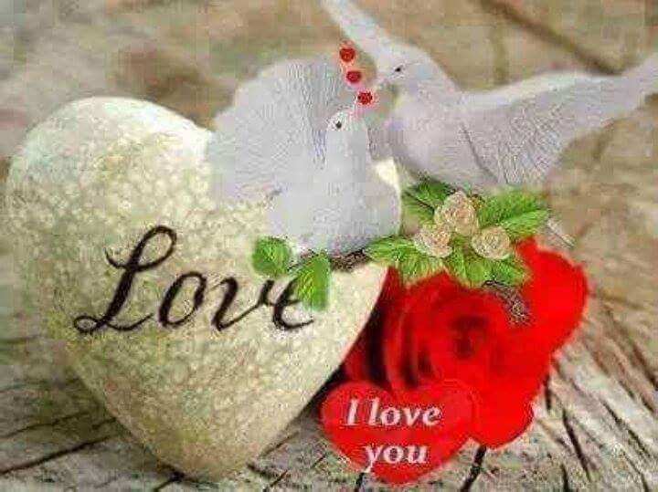 Jaan Khan tweet media