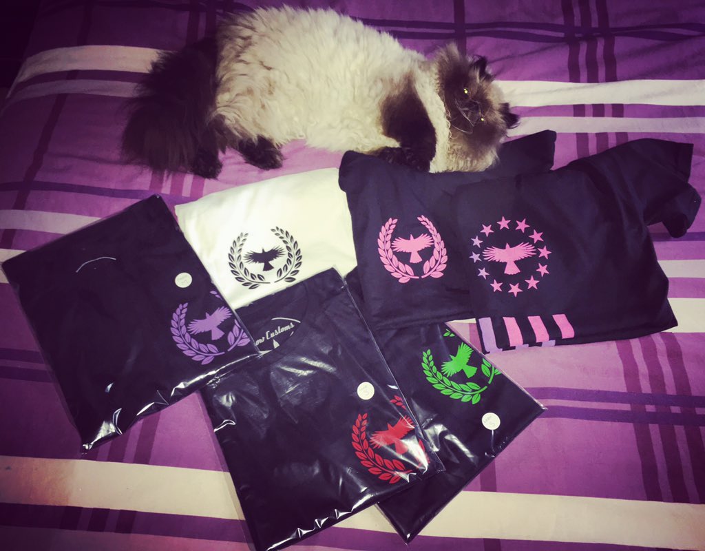 thedirtyyouth's tweet photo. @Crow_Customs just sent us some goodies for tour...Danni's cat Princessfluffymeowingkins approves :) #crowcustoms https://t.co/GO9n1J2fwg