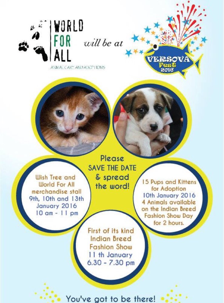 worldforall's tweet photo. World For All will be present at VersovaFest frm 9th-13th Jan2016 with an adoption camp on 10th Jan! Save the date! https://t.co/5RIXWY8qw8
