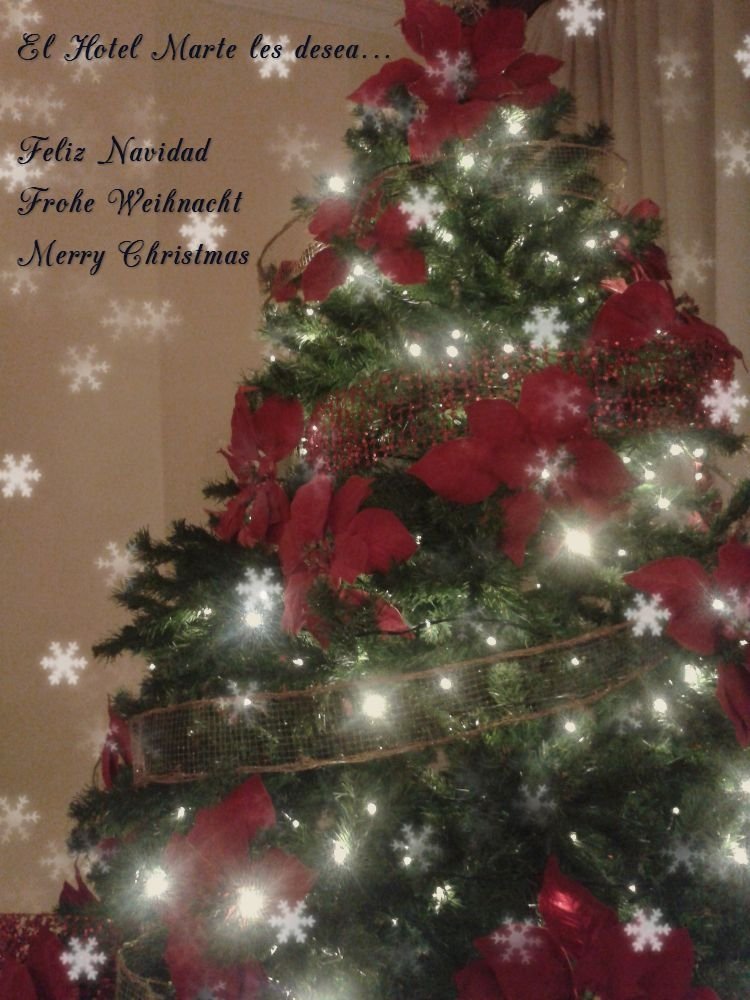 hotel_marte's tweet photo. Feliz Navidad https://t.co/IqPzDScvXl