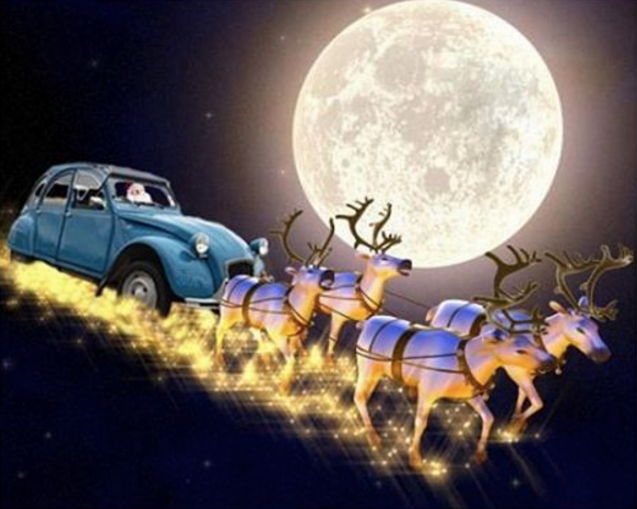 Het team van Auto Roggeveen wenst u een fijne Kerst.