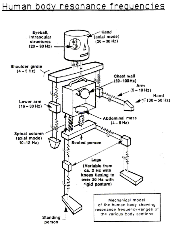 golan's tweet image. Oooh - Resonant Frequencies of the human body: bit.ly/1gBqu2b ,  (via @reaktorplayer