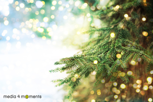 Media4Moments's tweet photo. Het team van Media 4 Moments wenst je fijne kerstdagen en een nieuw jaar vol mooie momenten! https://t.co/rufdN8O8we
