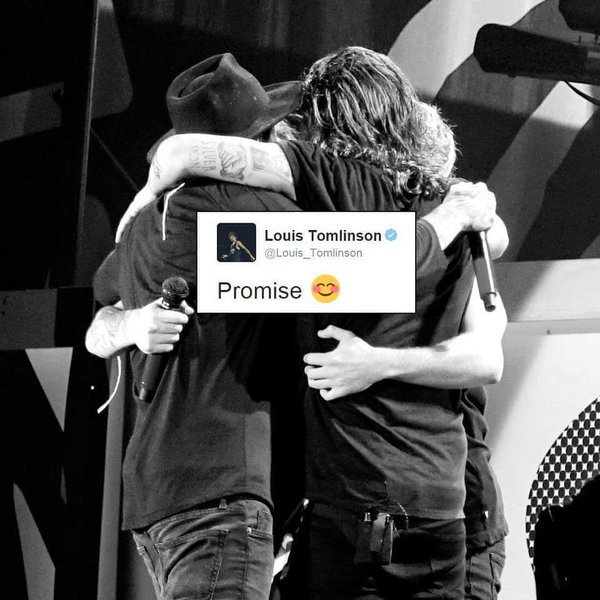 vashappenin471's tweet photo. @Louis_Tomlinson Goodbyes are bittersweet but it's not the en i'll ser your face again #ThisIsNotEndOfOneDirection https://t.co/Y0ghDS6snK
