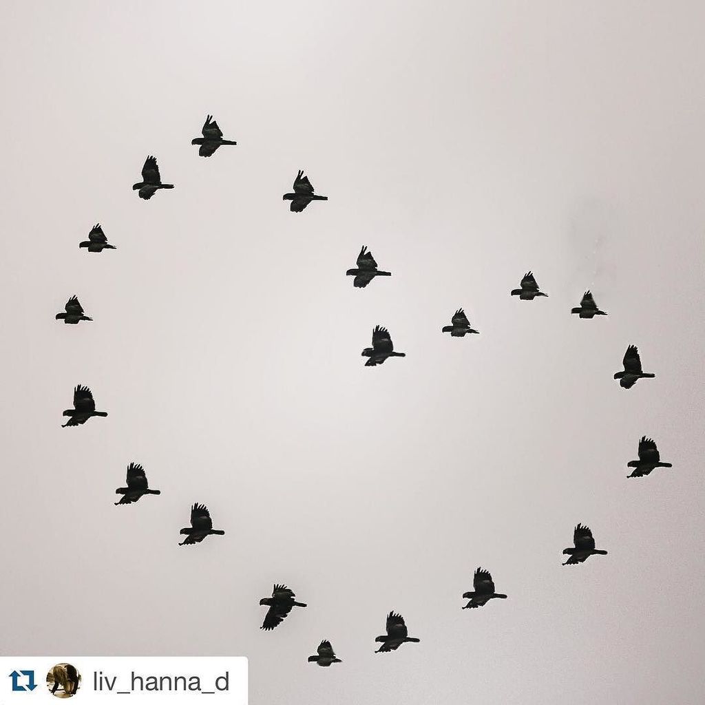 Cette semaine c'est @liv_hanna_d  qui a obtenu le plus de likes. 
Bravo à elle !

Si vous … ift.tt/1NULTWI