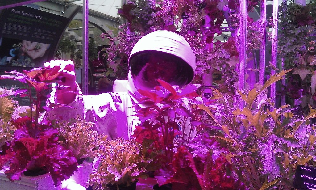 paul kettell tweet media