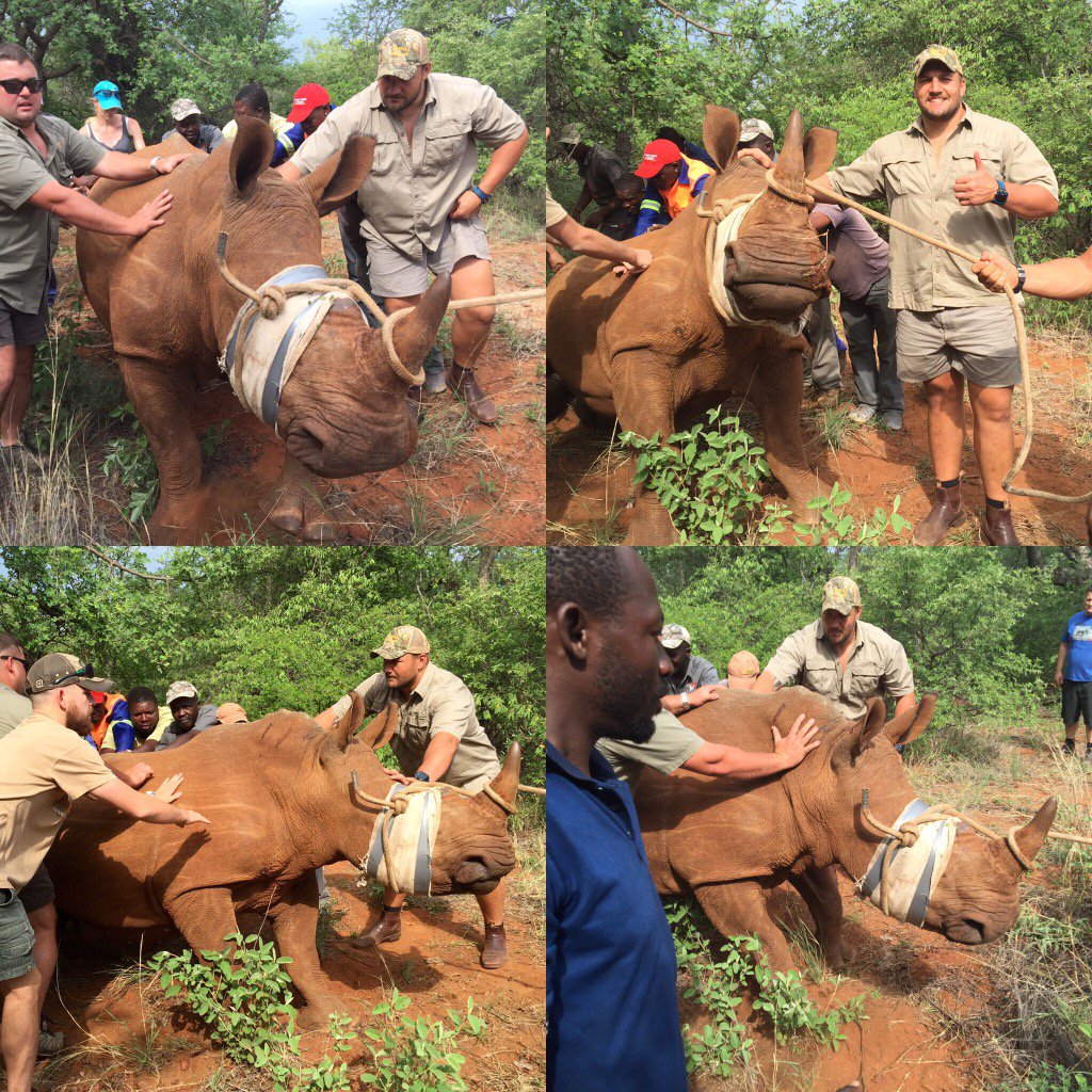 Doing my bit too save our rhinos