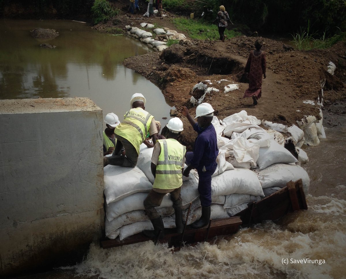 SaveVirunga's tweet photo. DG #ICCN barrage #Matebe constitue moteur #Virunga développement #Nord-Kivu.#HommeNature https://t.co/whXsY7ZEFu https://t.co/j2JEsa4Kma